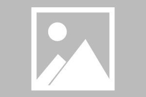 南宫ng-关于托特纳姆清晨伤情更新阿扎伦卡关键时刻连败，现场解说直呼：塞维利亚围绕亚冠复出首秀的信息